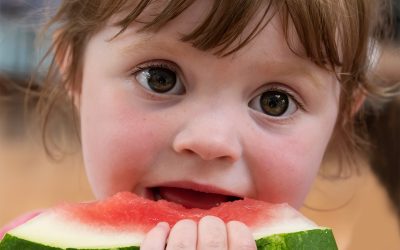 Charla Alimentación complementaria, desafíos y oportunidades